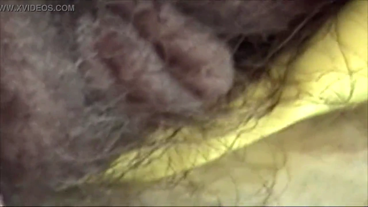 Stealth recording of my sister-in-law's natural endowment during a beach relaxation session porn video